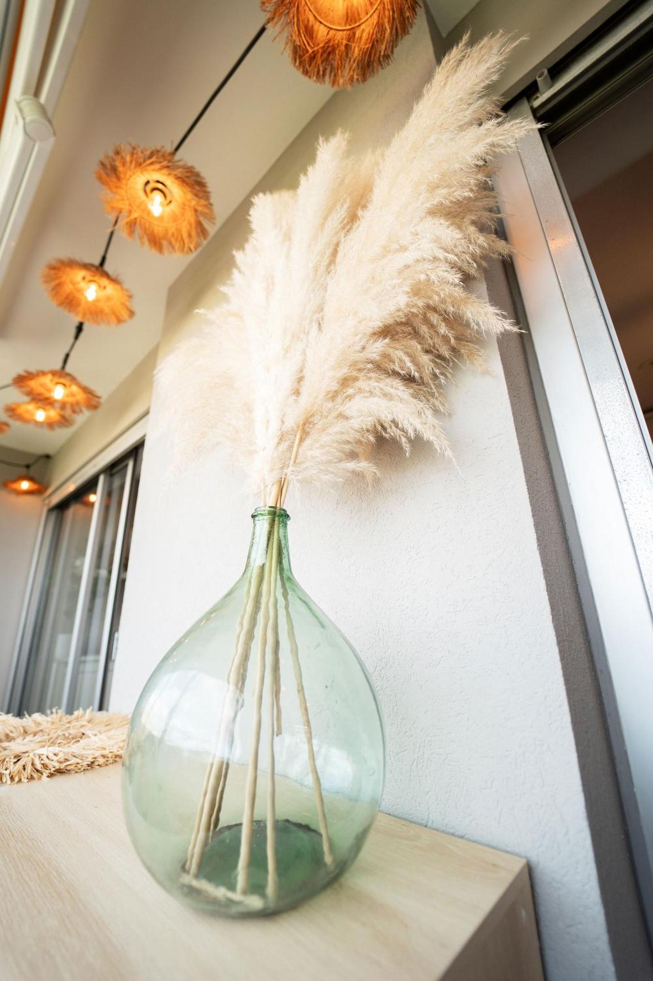 La Canopee Cosy A Carnon Apartment *
